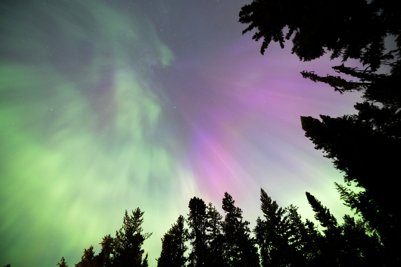 Image showing bright colours of the Canadian northern lights with trees in foreground showing the expansive sky